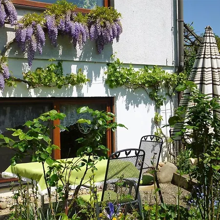 Lägenhet Ferienwohnung Elinore Meier *